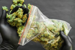 Online Dispensaries: Your One-Stop Shop for Weed