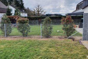 Zaun-Facelift: Erneuern Sie Ihren Garten mit Chain-Link
